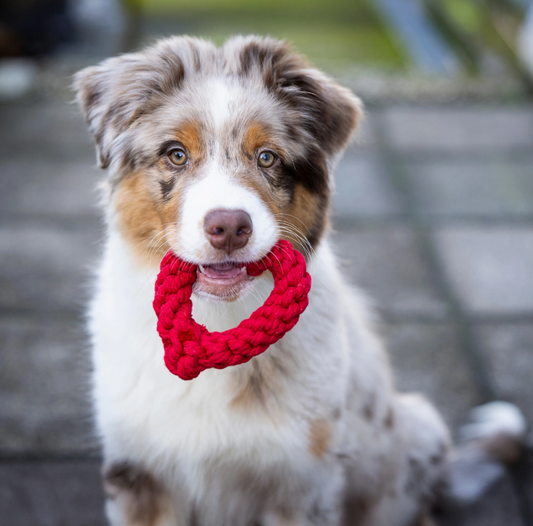Jouet de février - HERTHA HEART