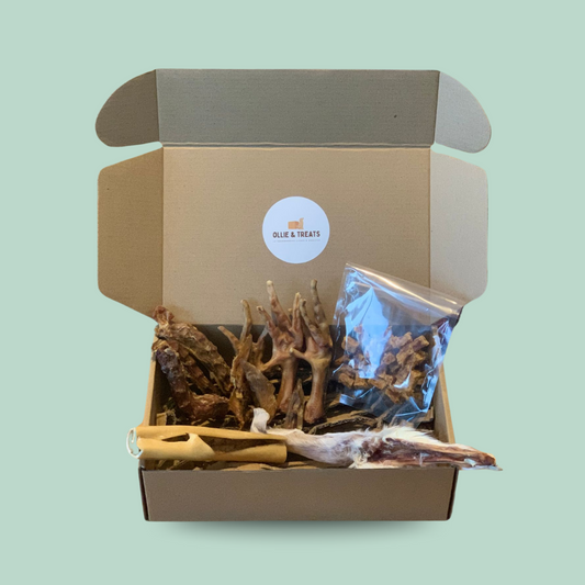 Box spéciale Petit Budget
