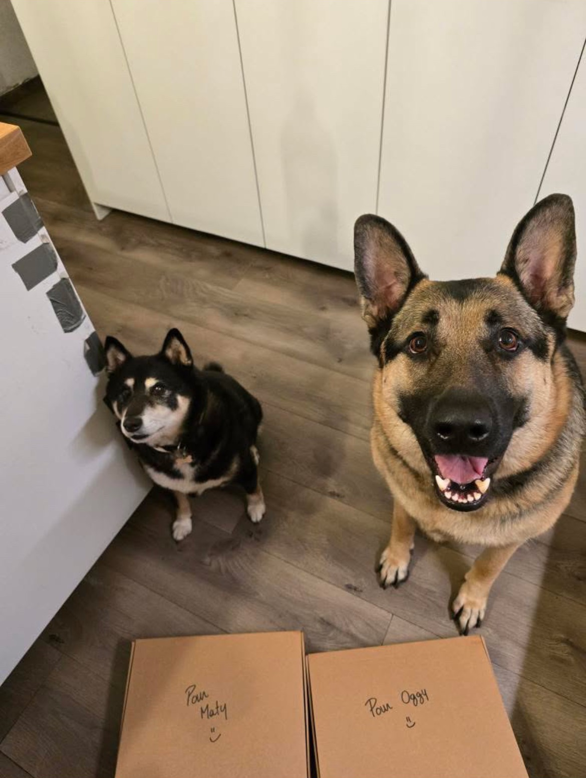 Pour les loulous aux besoins spécifiques