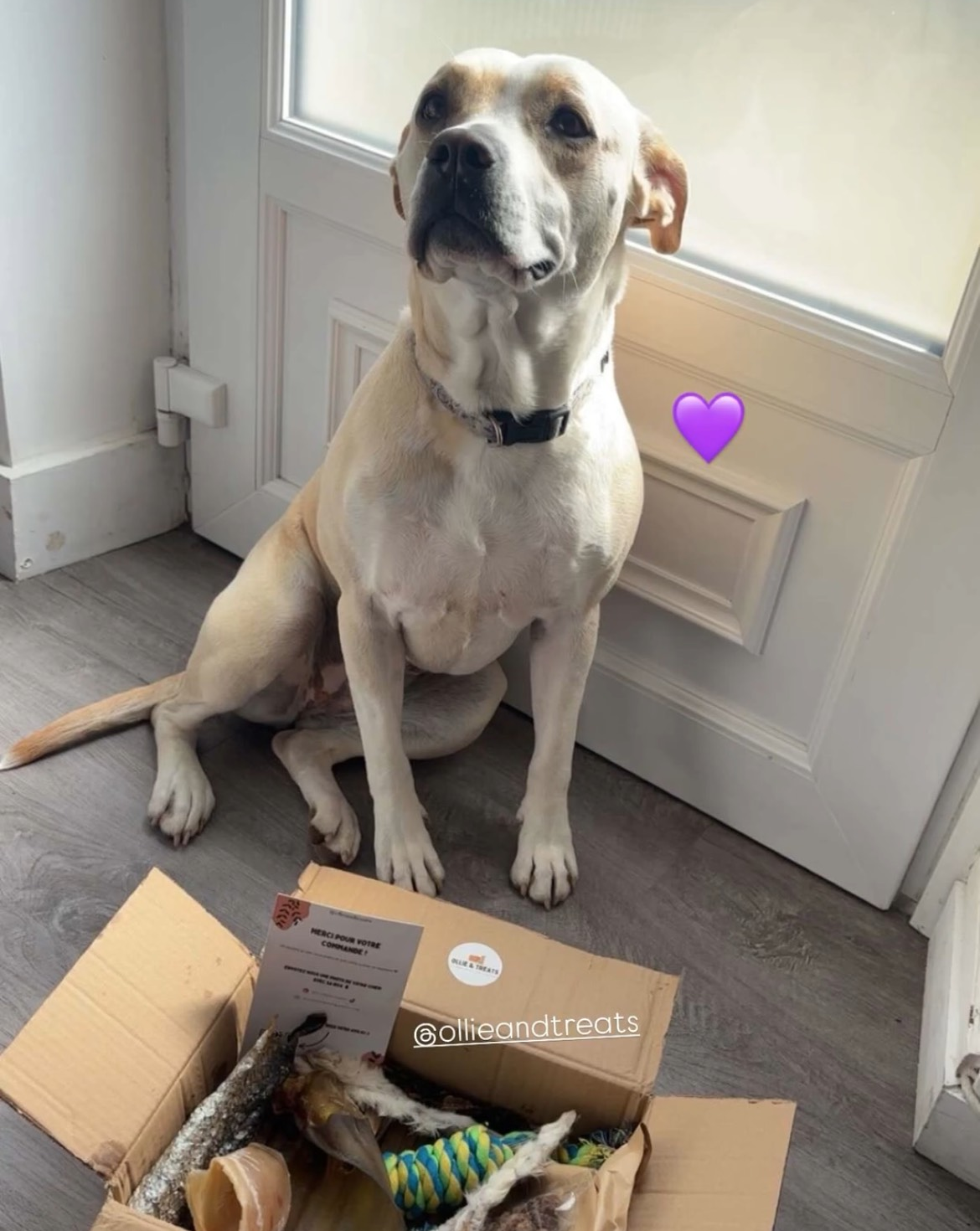 Pour les gros mâchouilleurs