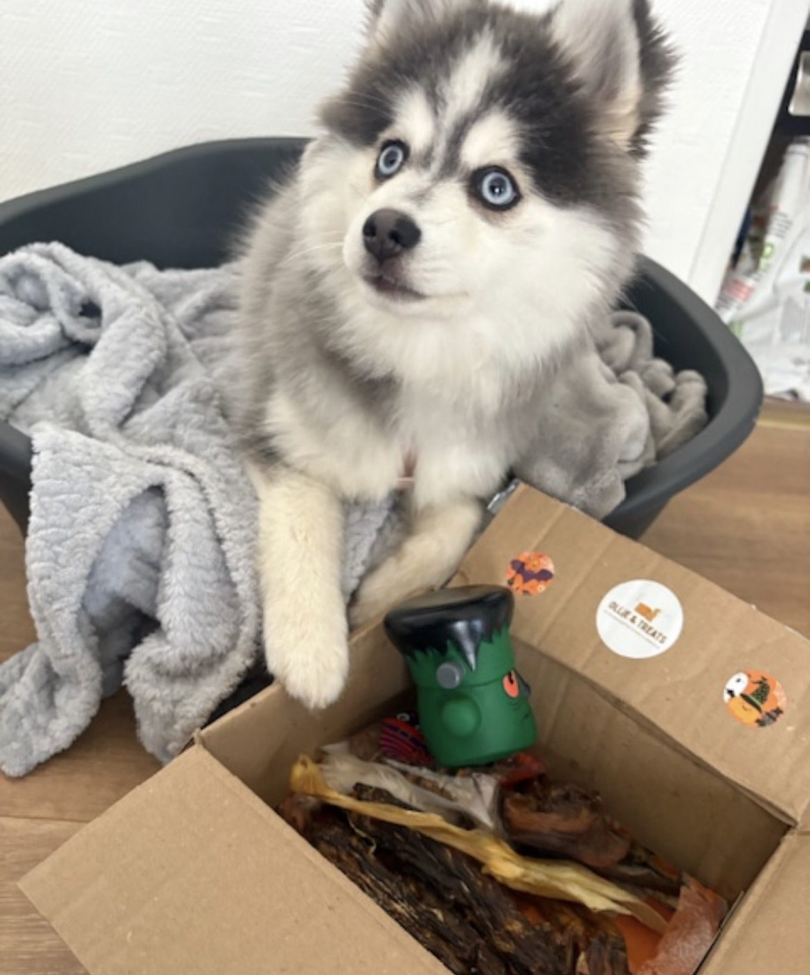 Pour commencer la mastication en douceur