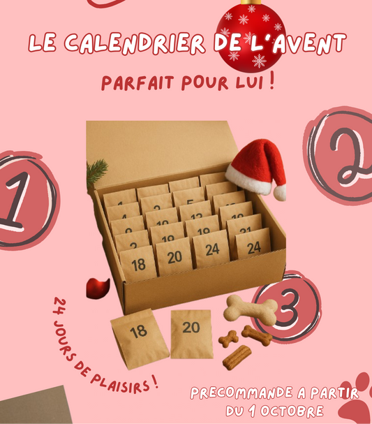 LE calendrier de l’avent 🎄
