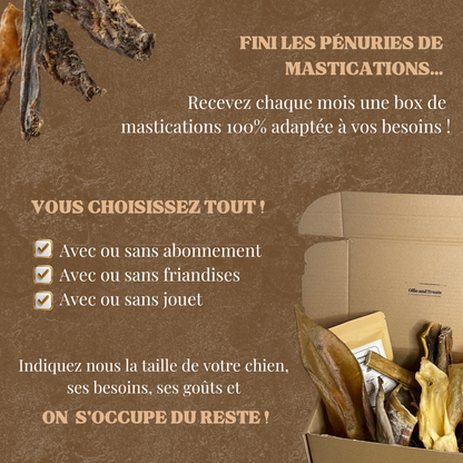 Box Chiot