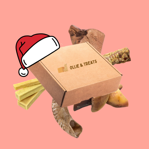 Edition limitée - Box Mastications Longue Durée