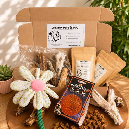 Box Personnalisable