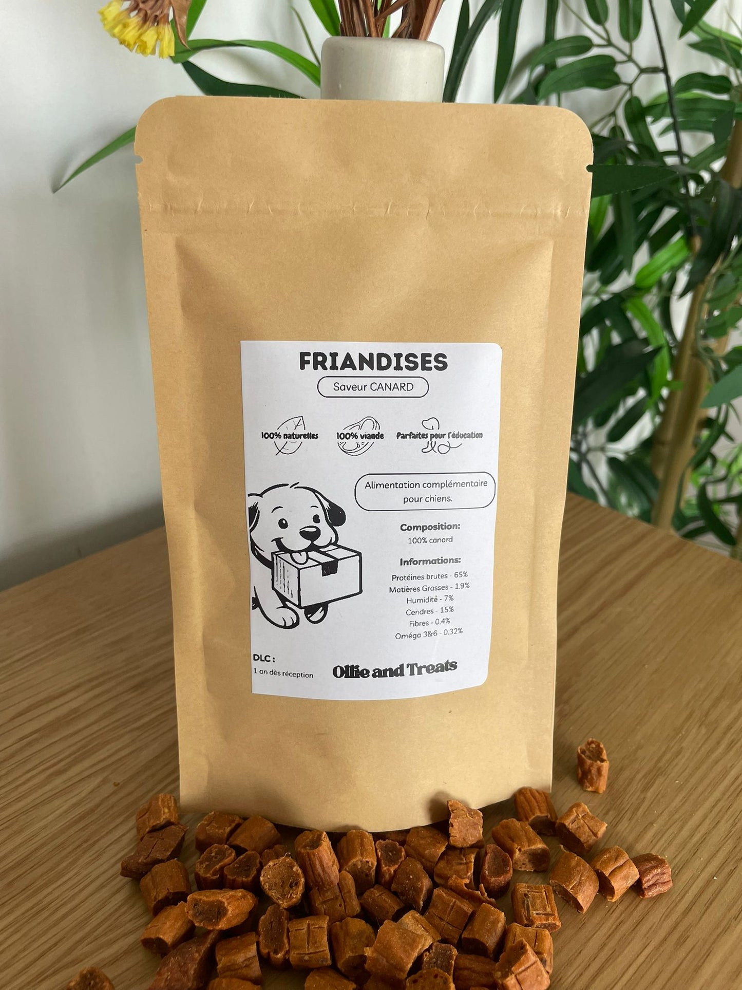 Friandises au CANARD