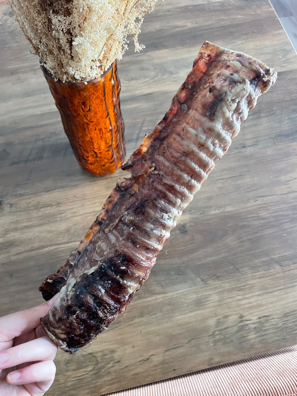 Trachée de bœuf 30cm
