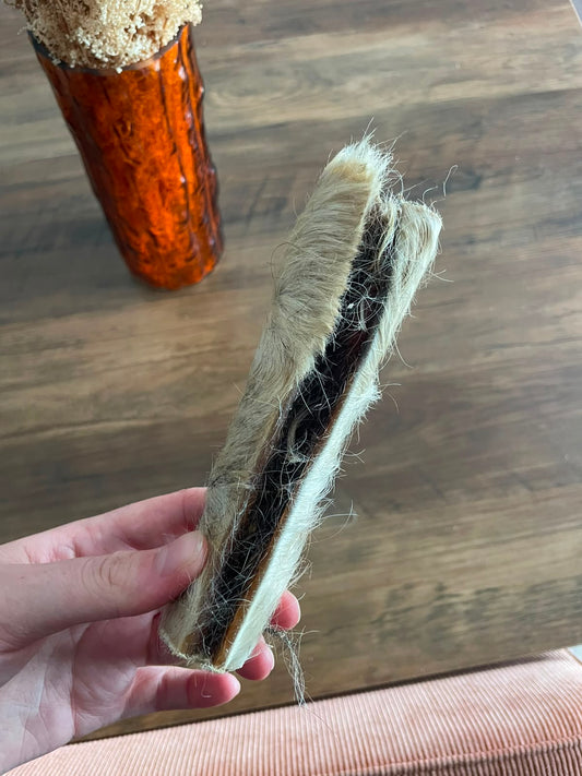 Bande de peau de bœuf avec poils