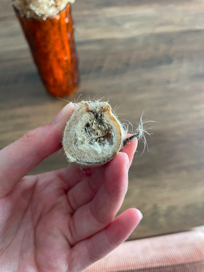 Bande de peau de bœuf avec poils