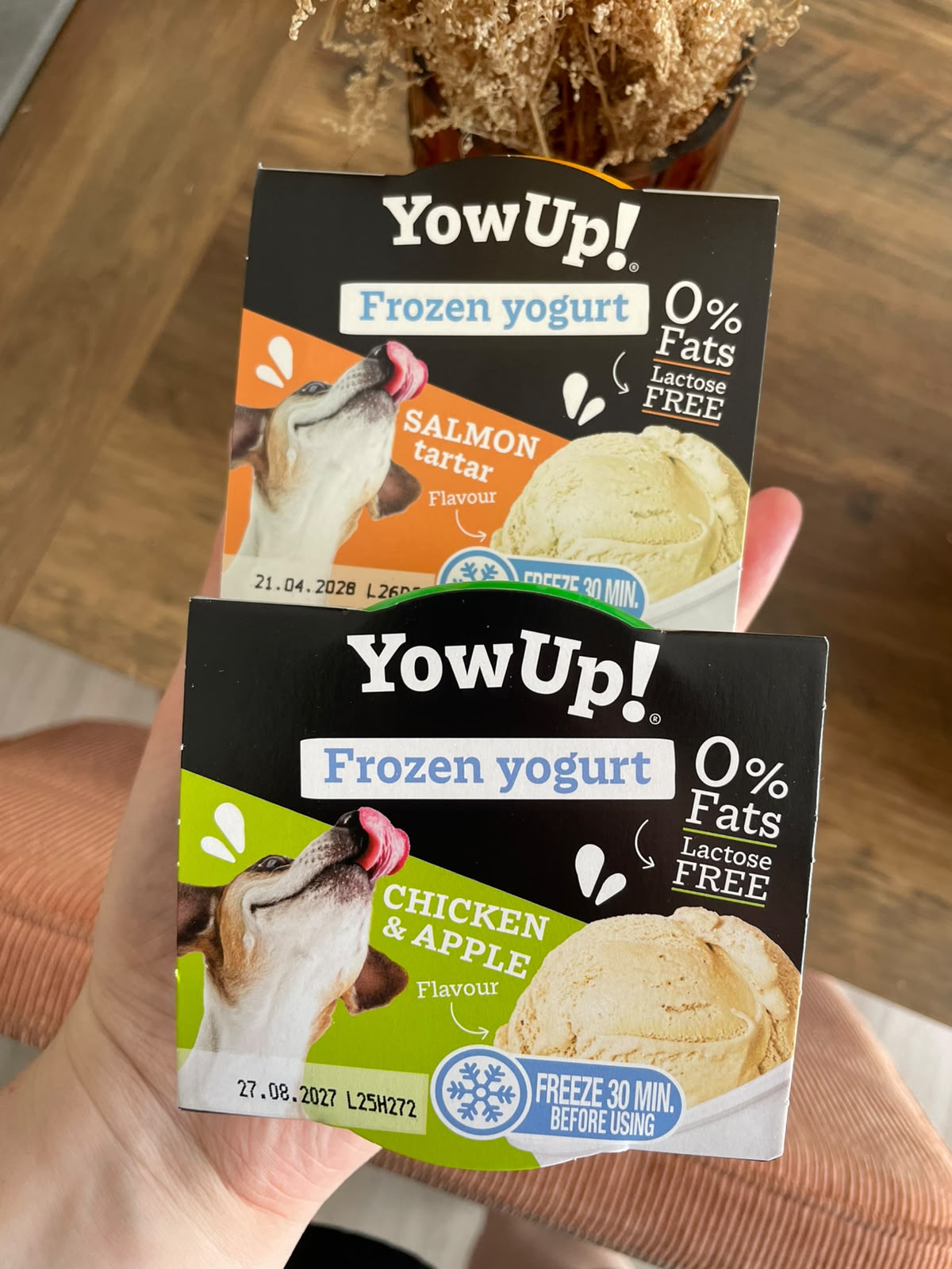 Glace pour chien - YowUp!