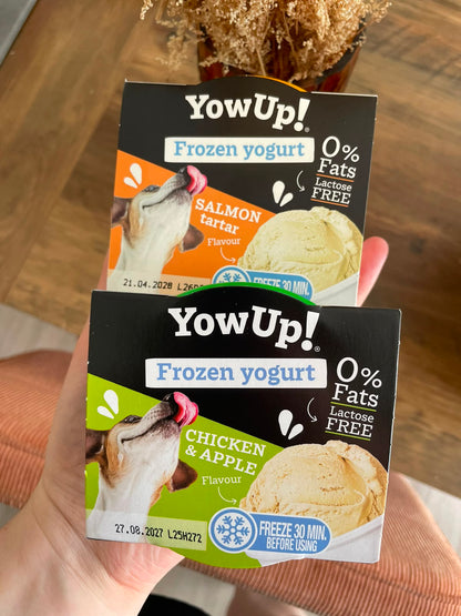 Glace pour chien - YowUp!