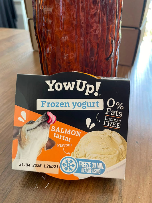 Glace pour chien - YowUp!