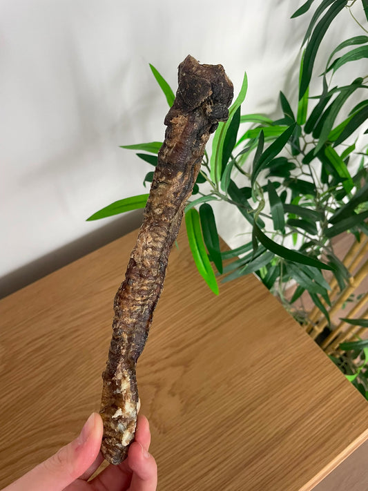 Trachée d'agneau