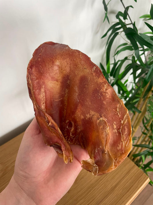 Oreille de porc