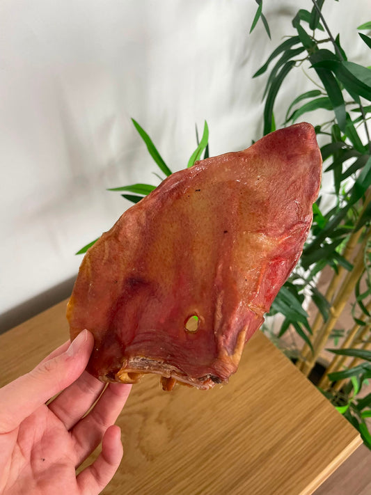 Oreille de porc