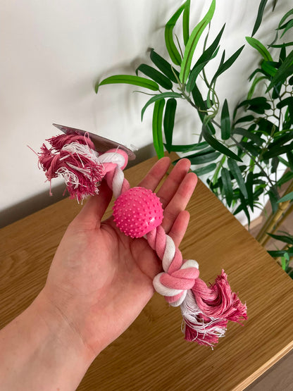 Jouet en corde avec balle à picots