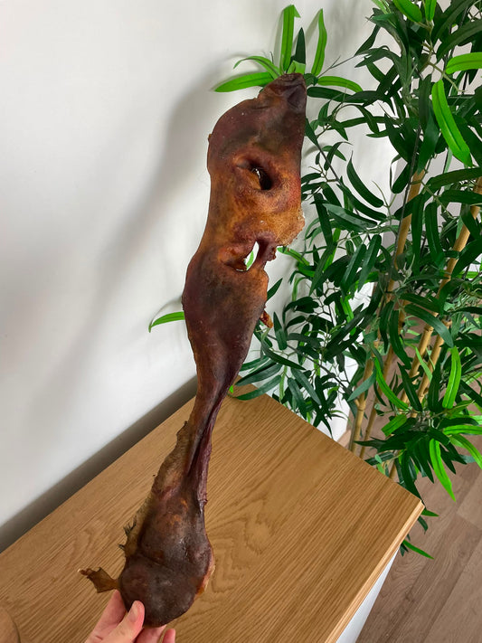 Nez de boeuf XXL