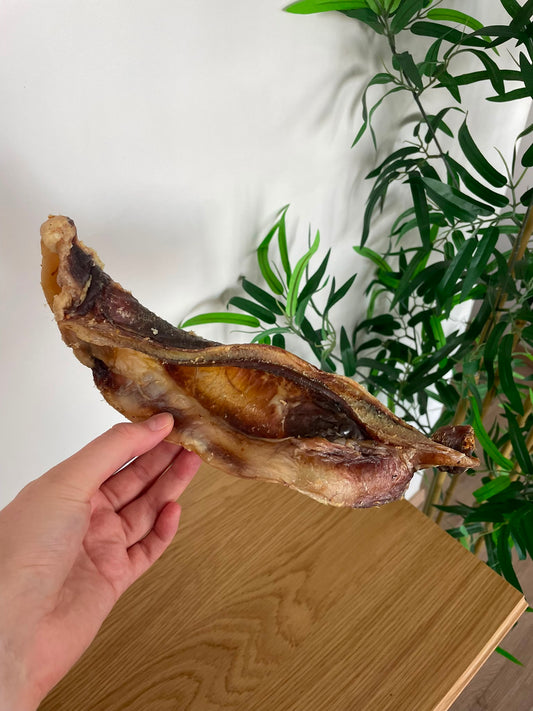 Omoplate de boeuf