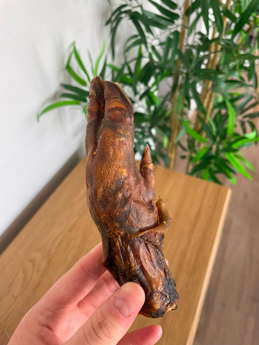 Patte de sanglier