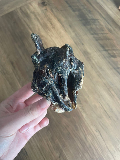 Larynx de boeuf