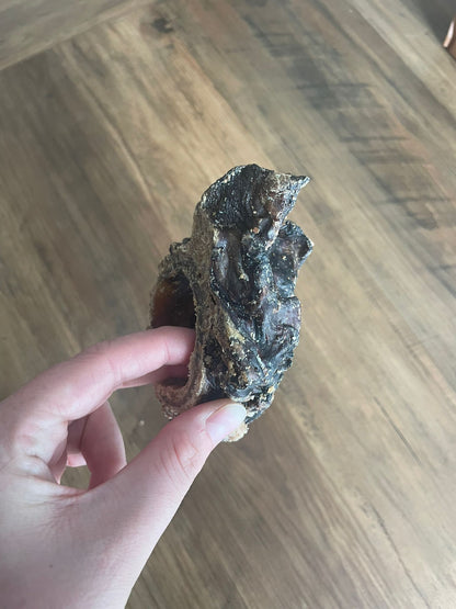 Larynx de boeuf