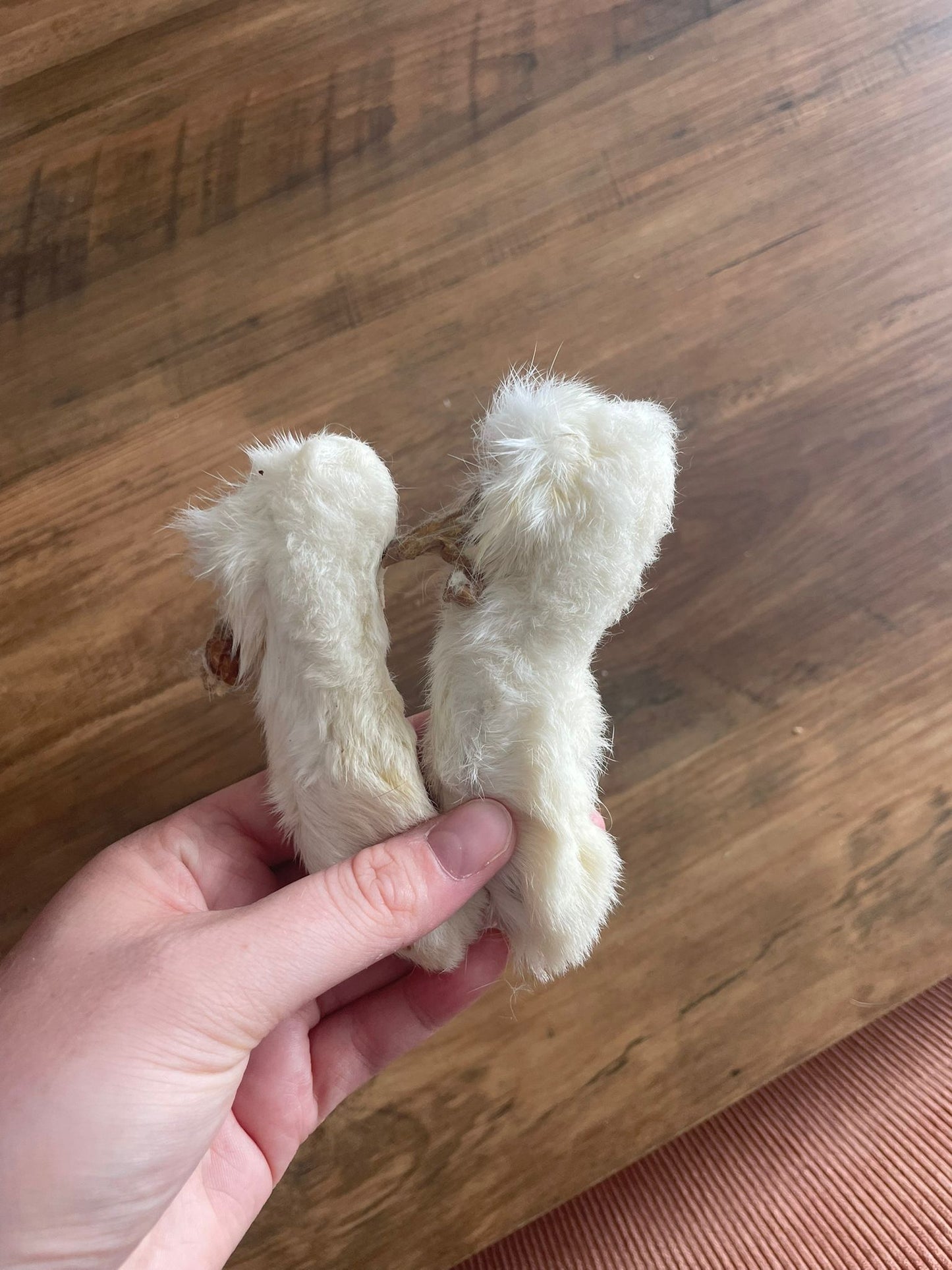 Patte de lapin avec fourrure