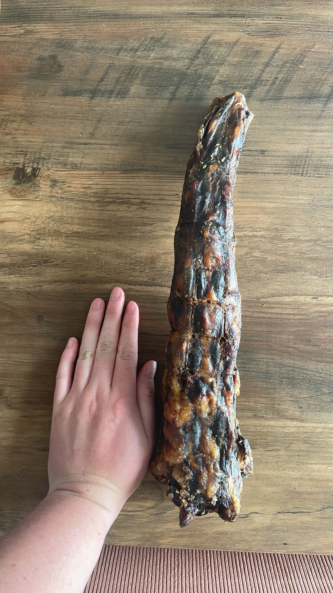 Queue de boeuf XL