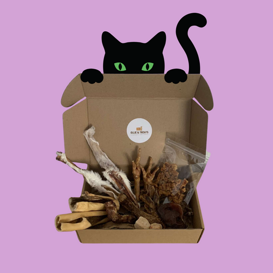 Box spéciale Chats